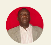 Partner institution or representative